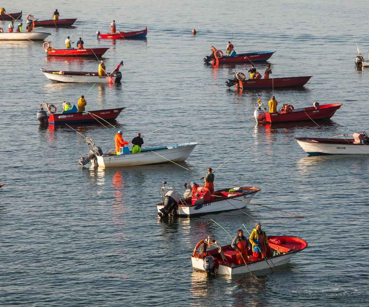 Espinaler - Historia